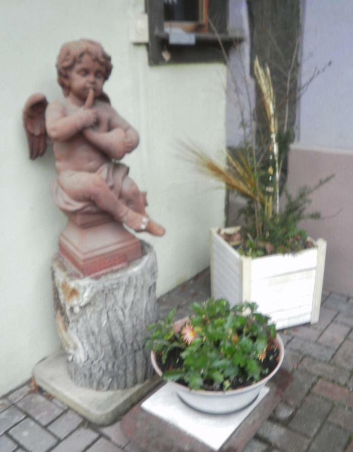 Gites Petermann Marckolsheim Eksteriør bilde